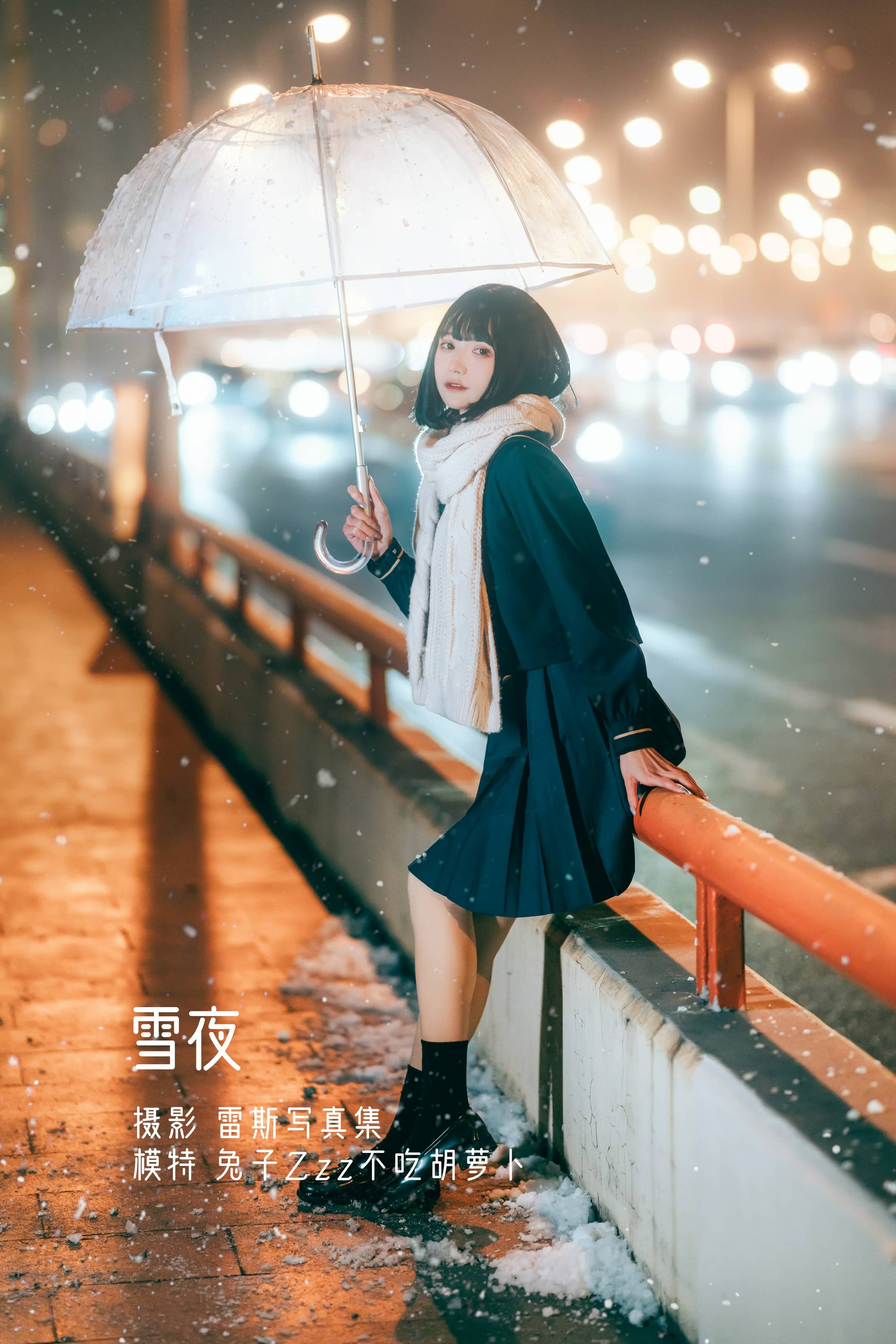 兔子Zzz不吃胡萝卜 NO.036 – 雪夜 [22P]